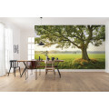 The Magic Tree - Thumbnail View 1