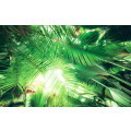 Dschungeldach - Thumbnail View 1