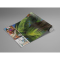 Moana Beach - Thumbnail View 1
