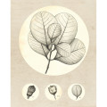 Art Gallery - Thumbnail View 1
