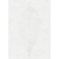 Decent Leaf - Thumbnail View 1