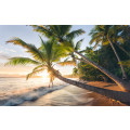 Strandgeheimnis - Thumbnail View 1