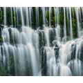 Ensemble of Veils - Thumbnail View 1