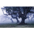Ghost Line - Thumbnail View 1