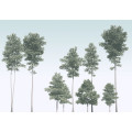 Pines - Thumbnail View 1