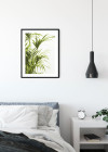 Reed Leaves