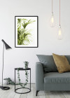 Reed Leaves