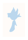 Cinderella Bird
