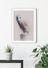Animals Forest Owl