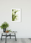Reed Leaves