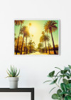 Palm Alley