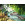 Jungle book swimming with Baloo - Thumbnail View 1