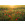 Poppy World I - Thumbnail View 1
