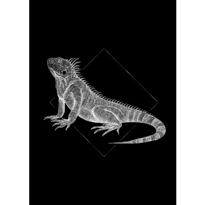 Iguana Black