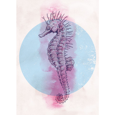 Sea Horse Circle
