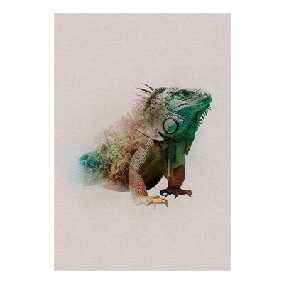 Animals Paradise Iguana