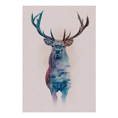Animals Forest Deer