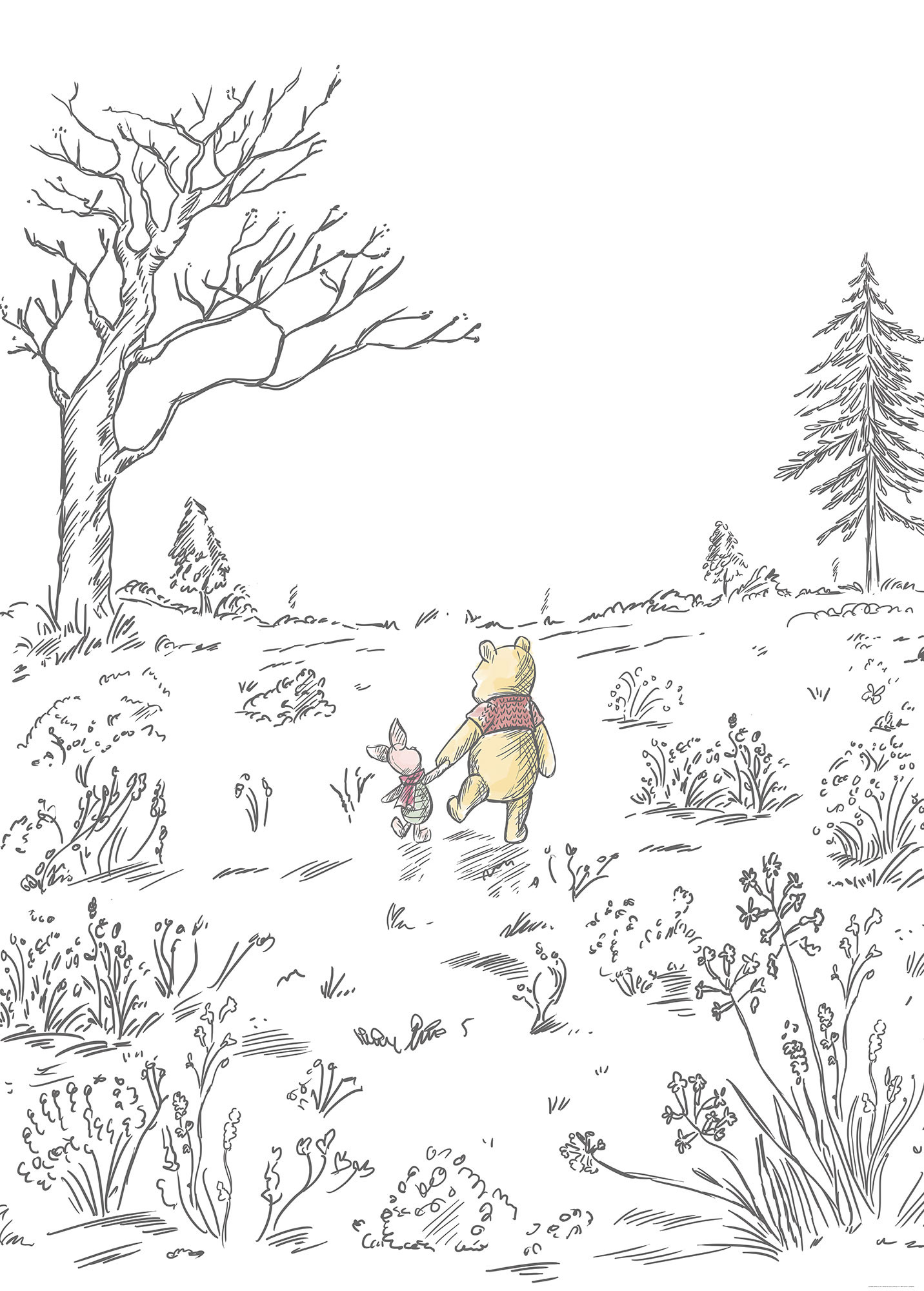the Pooh \