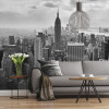 NYC Black and White