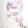 Clouds Panel - View 1