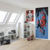 Spider-Man Rooftop-Rockin - View 1