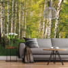 Birkenwald - View 1