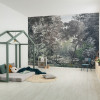 Wood Wide Web - View 1