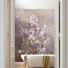 Hanami