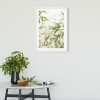 Bamboo Leaves