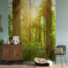 Redwood - View 1