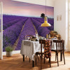 Provence - View 1