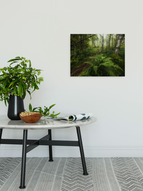 Mystic Birch Grove - Slider Item - View 1