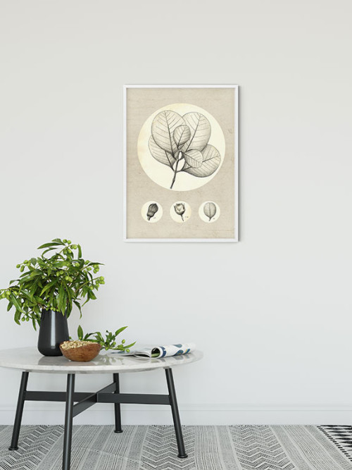 Transparent Leaf - Slider Item - View 1