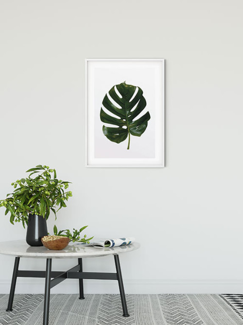 Monstera Leaf - Slider Item - View 1