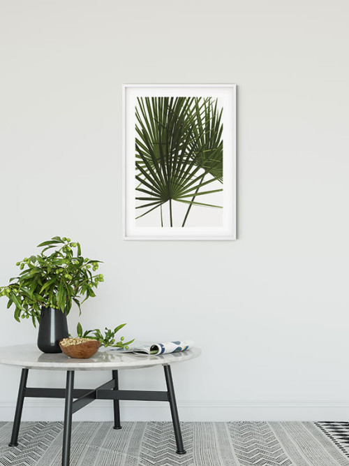 Palmtree Leaves - Slider Item - View 1