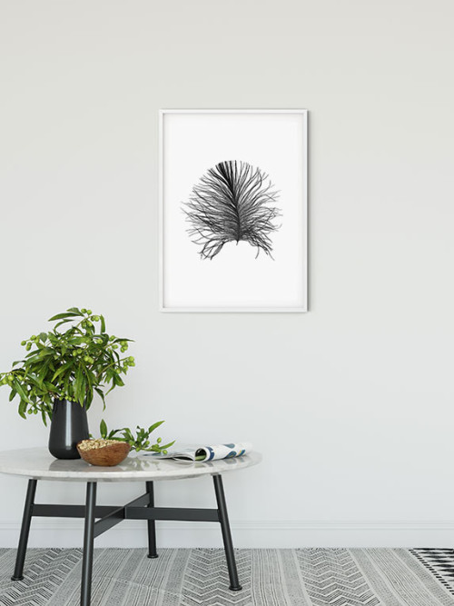 Feather White - Slider Item - View 1