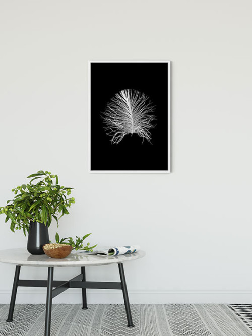 Feather Black - Slider Item - View 1