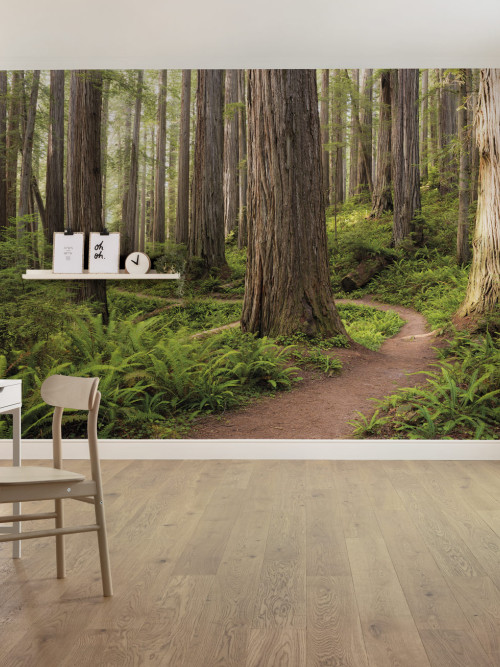 Redwood Trail - Slider Item - View 1