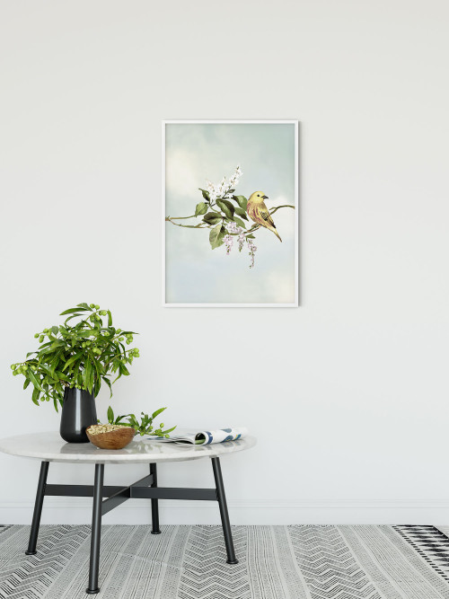 Gazouillis des Oiseaux - Slider Item - View 1