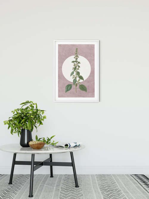 Menthe en Croissance - Slider Item - View 1