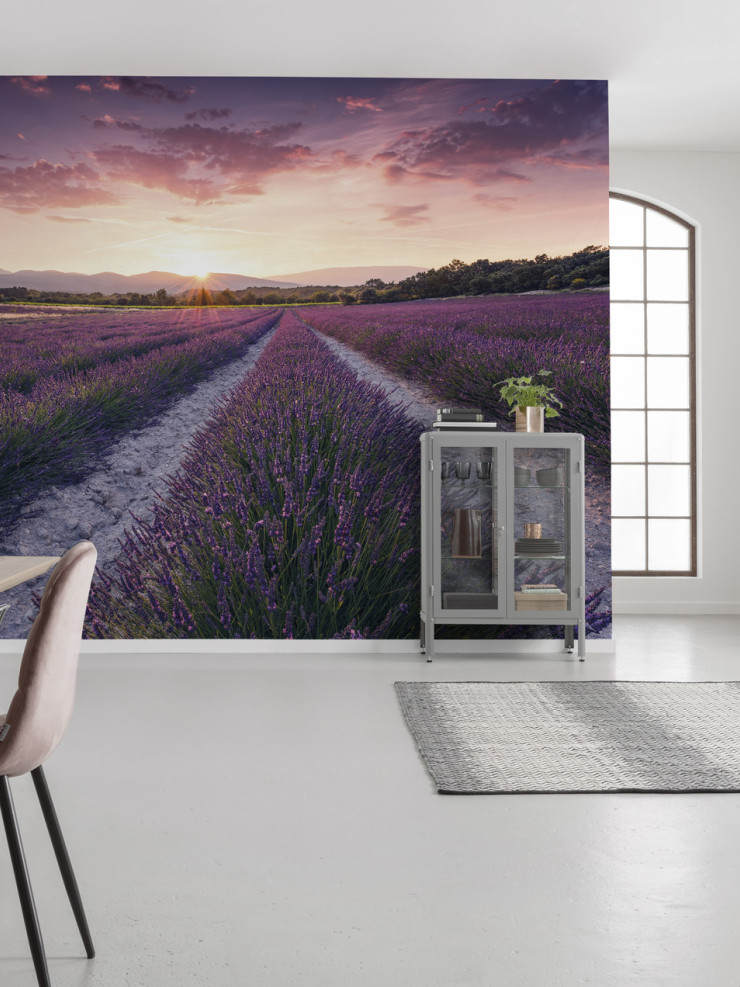 Lavender Dream