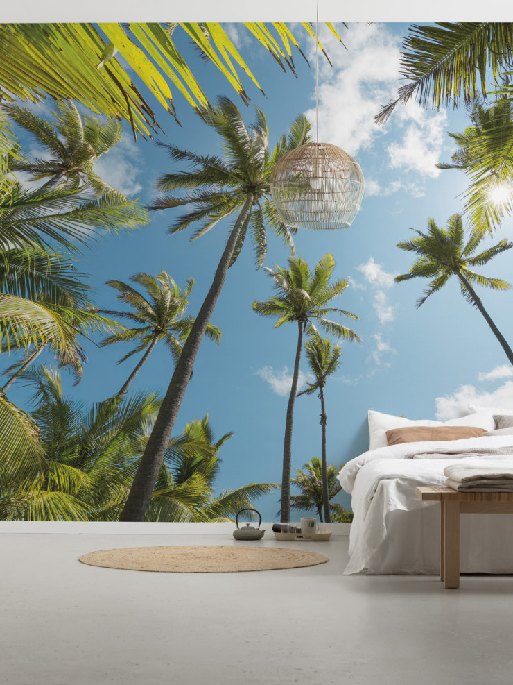 Coconut Heaven 