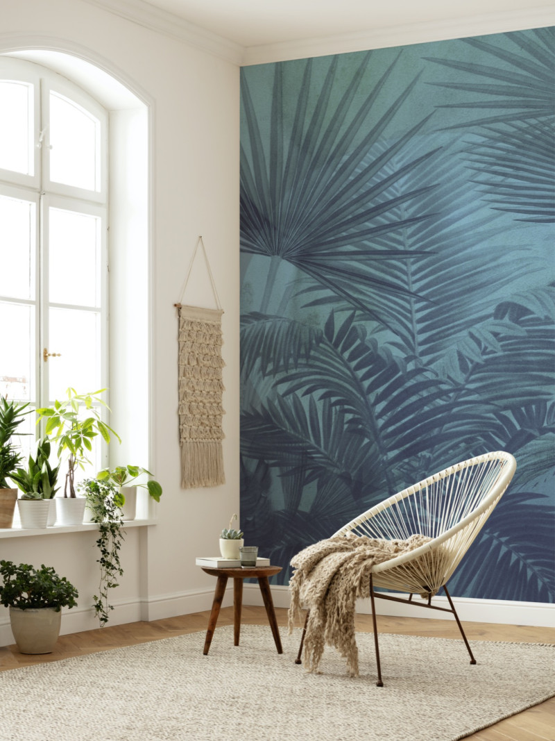 Transparency - View 1
