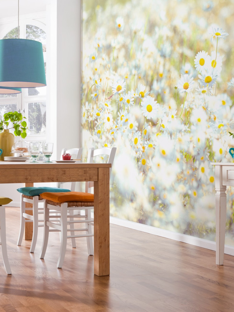 Daisies - View 1