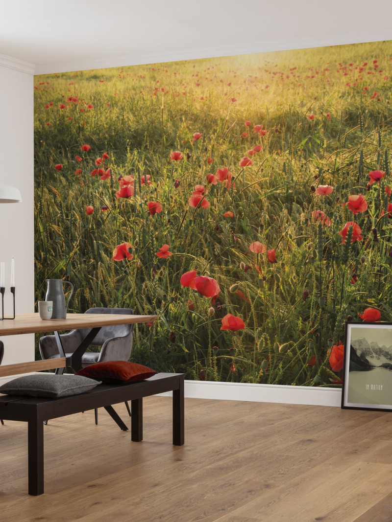 Poppy World I - View 1