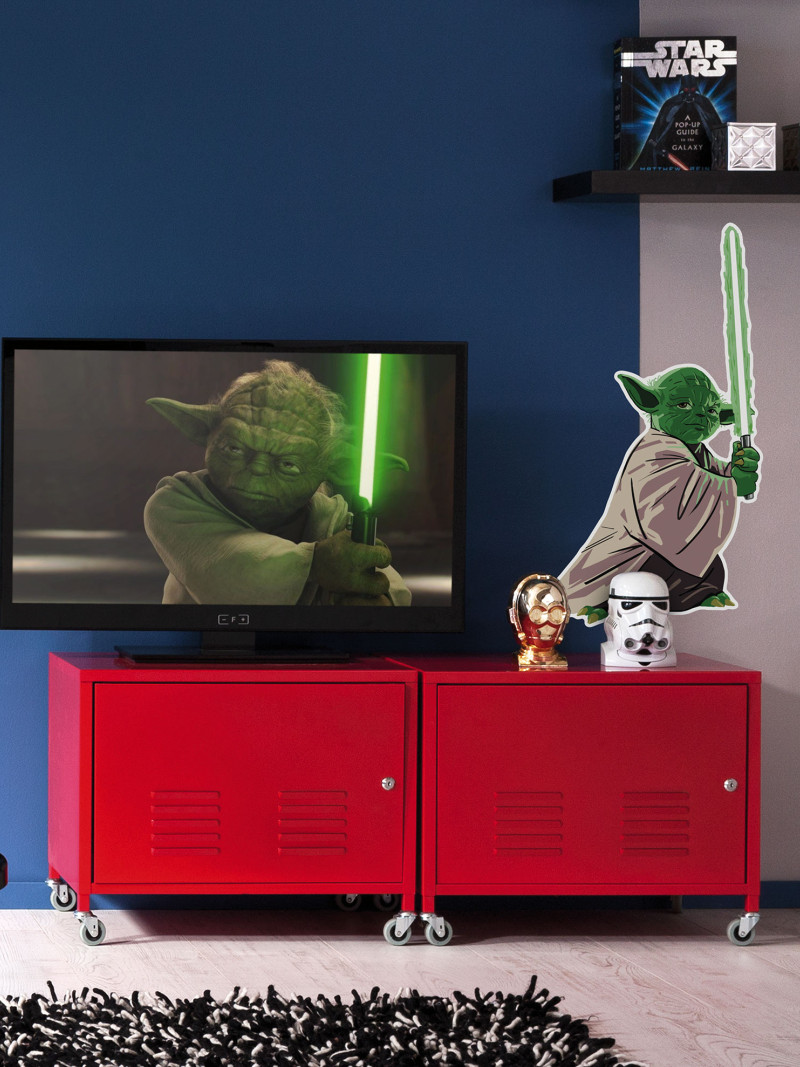 Star Wars Yoda training Session - View 1