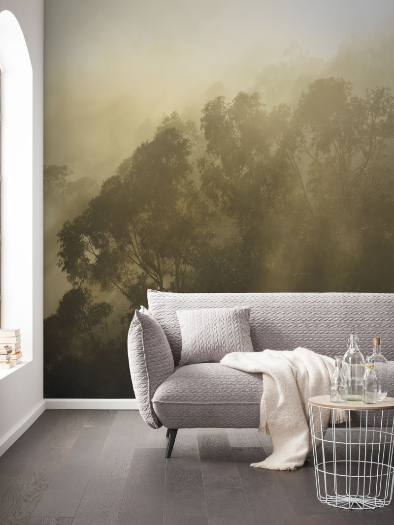 Misty Mountain - View 1