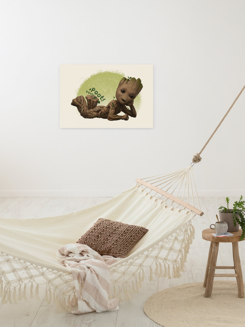 Groot Poot - View 1