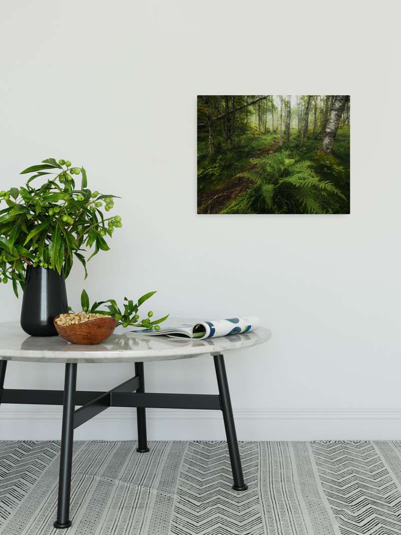 Mystic Birch Grove - View 1