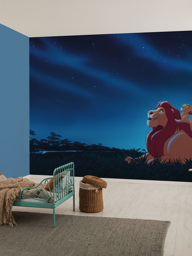 Disney The Lion King Stargazing - View 1